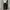 BLACK JEANS UNKNOWS REGULAR FIT SECOND ORIGINAL photo 1