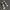 Converse Casual Sneakers Pria white black photo 3