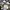 Converse Casual Sneakers Pria white black photo 6