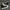 Converse Casual Sneakers Pria White Black