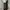 BLACK WASH JEANS POLHAM REGULAR FIT SECOND ORIGINAL  photo 3
