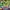 Streetwear T-shirt Pria multicolor photo 2