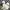 Converse Casual Sneakers Pria multicolor photo 6