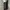 BLACK WASH JEANS CARRERA SKINNY FIT SECOND ORIGINAL photo 3