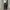 BLACK WASH JEANS CARRERA SKINNY FIT SECOND ORIGINAL photo 1