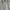 Casual Short Pria gray photo 2