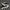 Converse Casual Sneakers Wanita white black photo 3