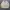 Polo Ralph Lauren Casual work Jacket Boxy photo 1