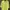 Polo Ralph Lauren Casual Polo shirt Pria yellow photo 1