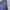 Cosplay Casual pants Pria navy photo 4