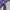 Cosplay Casual pants Pria navy photo 6