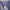Cosplay Casual pants Pria navy photo 5
