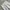 Bonlecilll longpants white jeans, Regular Straight Fit photo 4