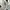 Puma Ralph Sampson Nipsey Hussle photo 4