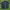 JACKET CASUAL LE CAF SPORT photo 3
