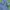OLIVE Des OLIVE Streetwear Casual Denim Jacket Pria Navy Blue