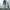 JACKET DENIM OLIVE DES OLIVE photo 2