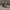 Vans Streetwear Minimalist Casual shoe Pria white black photo 3