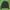 JACKET PARKA JESSY LOGAN  photo 3