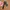 Y2K WOMEN BELT