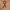 Y2K pattern flower belt photo 1