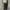 BLACK JEANS SIBIZI REGULAR FIT SECOND ORIGINAL photo 1