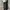 BLACK JEANS SIBIZI REGULAR FIT SECOND ORIGINAL photo 3