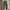 Abah house japan relaxed ankle pants og olive green army photo 3