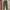 Abah house japan relaxed ankle pants og olive green army photo 5