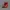 Sepatu Boot Timberland Men's 6-Inch Red Series Collection