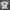 Stussy Basic White photo 1
