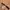 BANG BANG Leather Belt photo 3