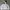 Vintage Heavyweight Zip Up Hoodie Gray Boxy photo 1