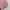 Jibab mylady warna pink salem photo 2