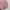 Jibab Mylady Warna Pink Salem