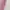Jilbab mylady polos Pink photo 2