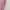 Jilbab Mylady Polos Pink