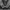 thisisneverthat Luxury Streetwear Fleece Pria black gray photo 5