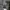 thisisneverthat Luxury Streetwear Fleece Pria black gray photo 6