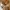 Vintage Coquette Cami top Wanita cream photo 3