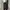 BLACK JEANS UNKNOWS REGULAR FIT SECOND ORIGINAL photo 3