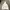 HOODIE STUSSY BIG LOGO
