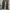 BLACK WASH GUESS REGULAR FIT JEANS  SECOND ORIGINAL photo 6
