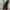 BLACK JEANS ZARA BOOTCUT FIT UNFINISHED SECOND ORIGINAL photo 2