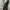BLACK JEANS ZARA BOOTCUT FIT UNFINISHED SECOND ORIGINAL