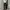 BLACK JEANS UNKNOWS REGULAR FIT UNFINISHED SECOND ORIGINAL photo 1