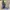 Adidas Casual Sneakers Pria gray photo 4