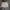 nike sportwear utility cargo nylon short pants unisex photo 5