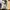 Asics gel tarther SD photo 1