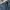 Jeans Selvedge oam x plac  photo 2